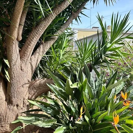 Giardino A Mare דירה