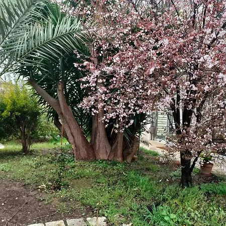 Giardino A Mare * Bari